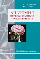 Анатомия нервной системы и органов чувств: Учебное пособие